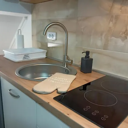 Mina 1 Apartment Vrdnik