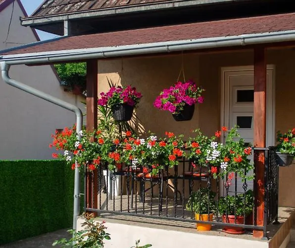 Mina 1 Appartement *